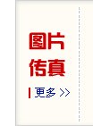 继续浏览同栏目条目通常按时间倒序排列